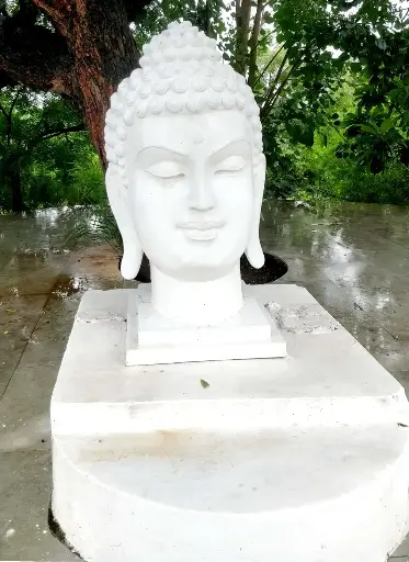   Buddha Face